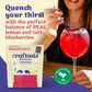 Blueberry Lemonade Cocktail / Mocktail Mixer