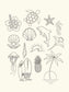 Tiny Tattoos - Thursday September 18th