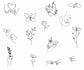 Tiny Tattoos - Thursday September 18th