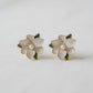 Magnolia Studs