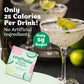 Classic Margarita Mixer